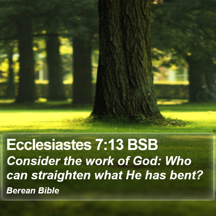 Ecclesiastes 7:13 BSB Bible Study