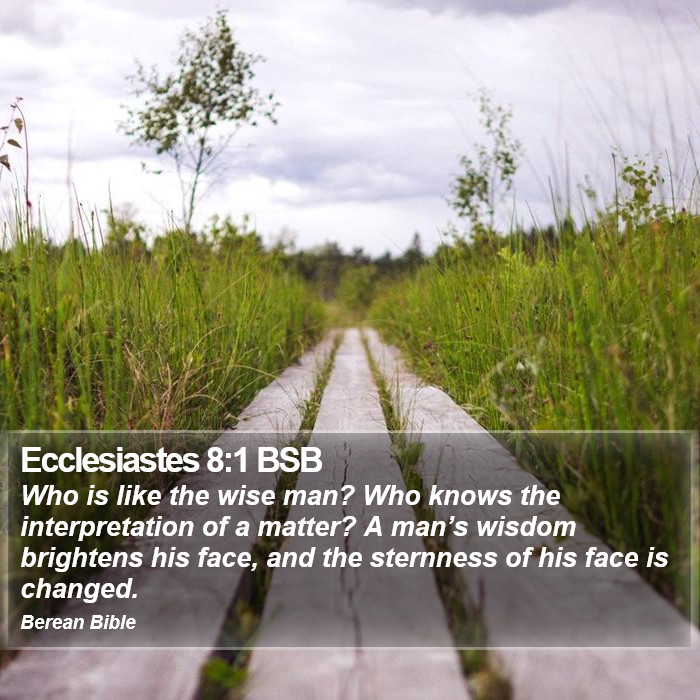 Ecclesiastes 8:1 BSB Bible Study