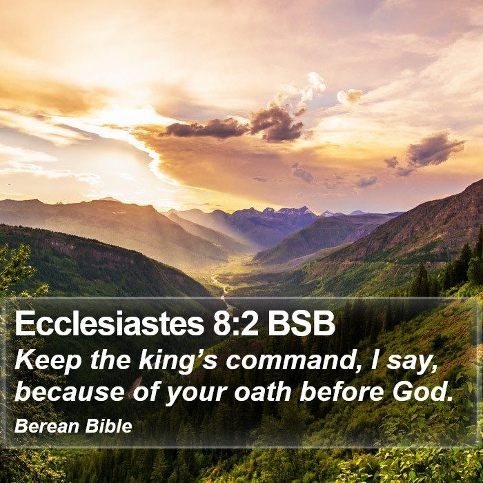 Ecclesiastes 8:2 BSB Bible Study