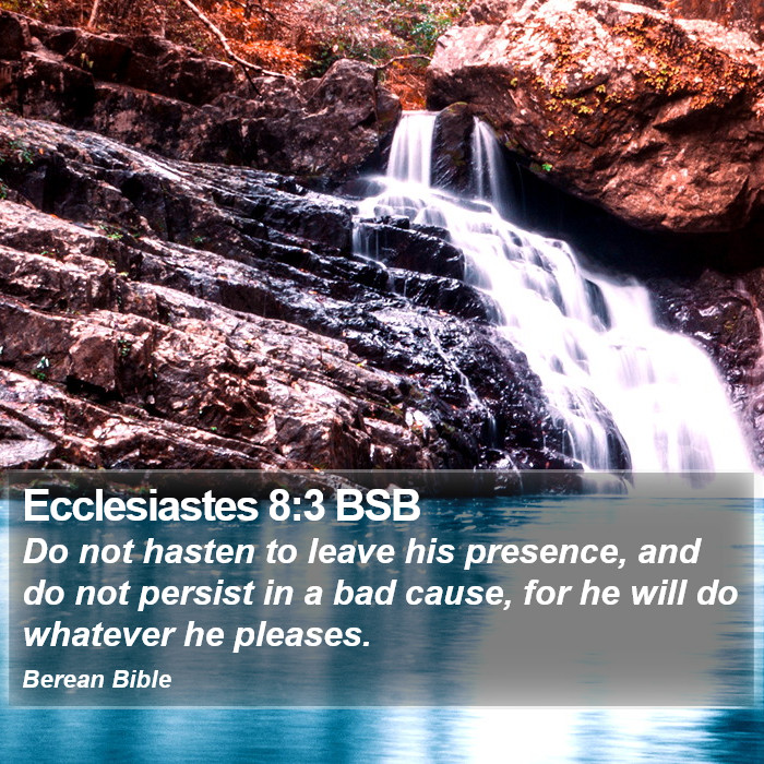 Ecclesiastes 8:3 BSB Bible Study