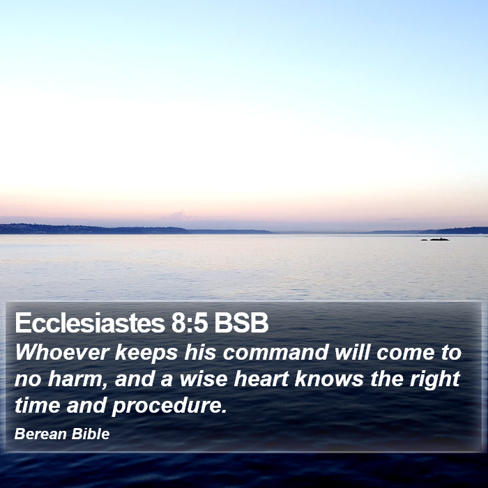 Ecclesiastes 8:5 BSB Bible Study