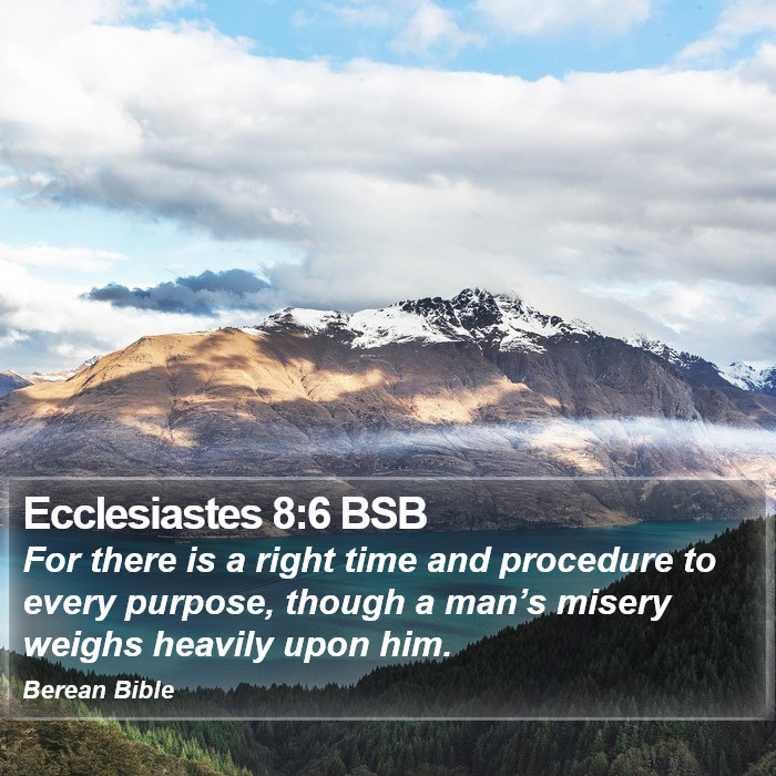 Ecclesiastes 8:6 BSB Bible Study