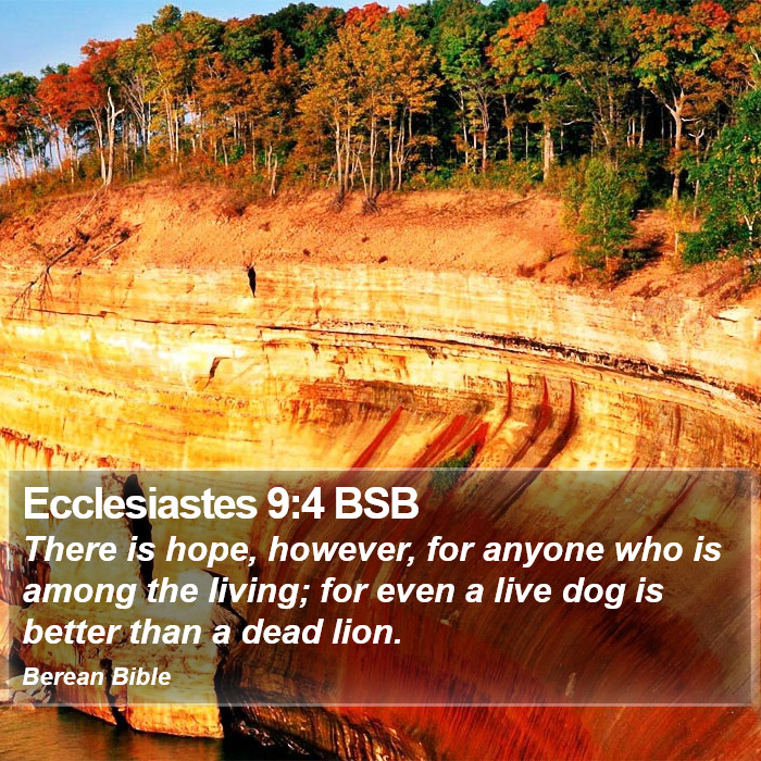 Ecclesiastes 9:4 BSB Bible Study