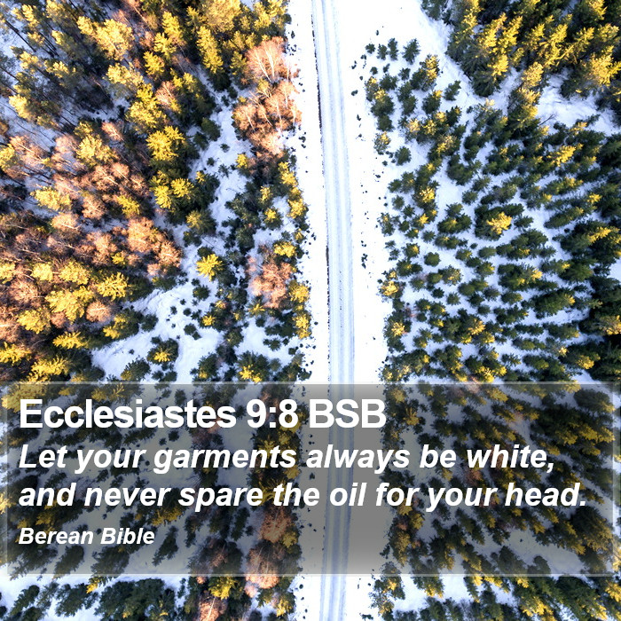 Ecclesiastes 9:8 BSB Bible Study