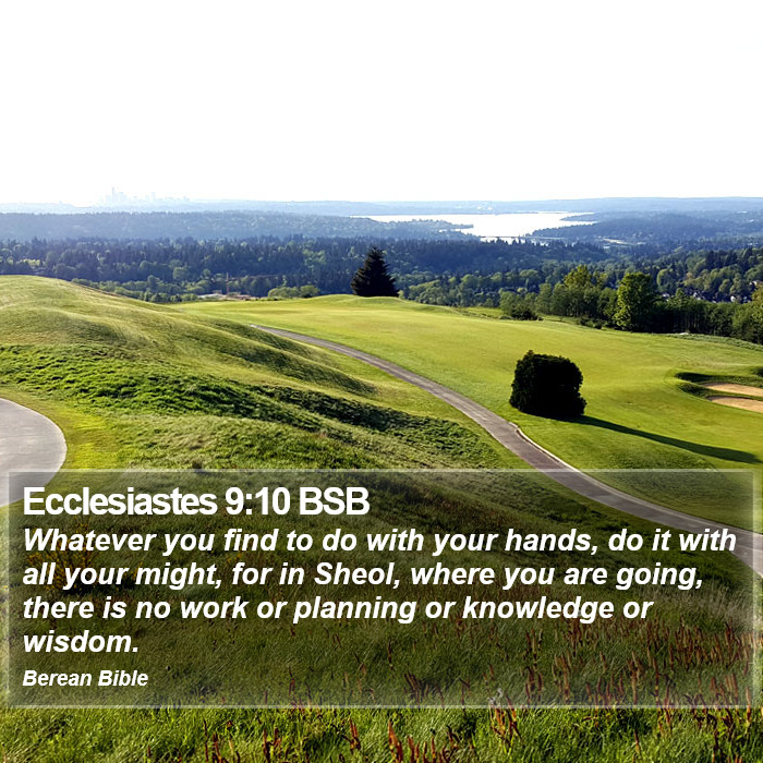 Ecclesiastes 9:10 BSB Bible Study