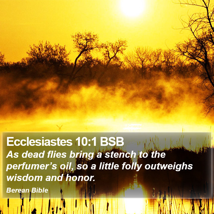 Ecclesiastes 10:1 BSB Bible Study