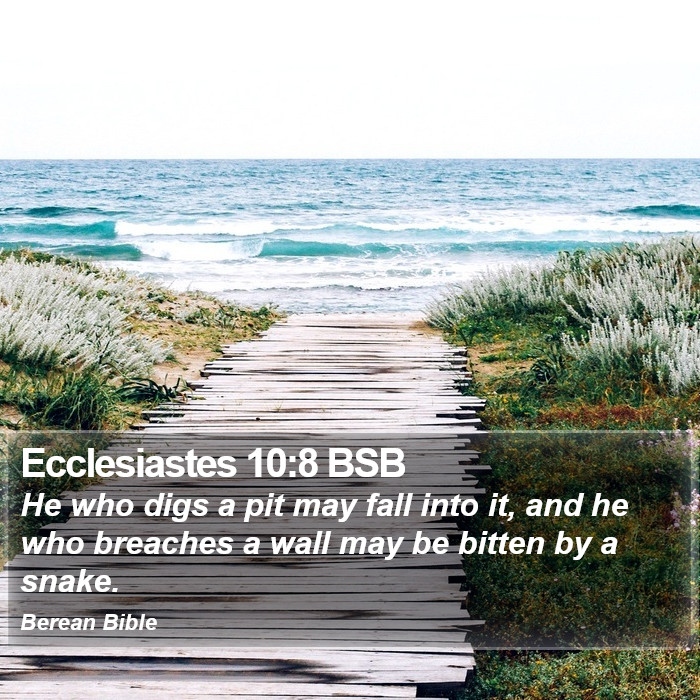 Ecclesiastes 10:8 BSB Bible Study