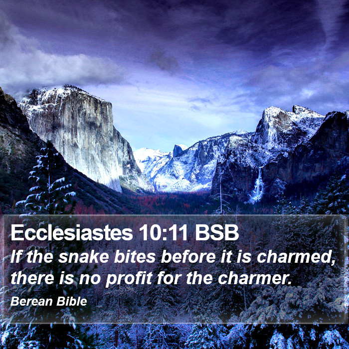 Ecclesiastes 10:11 BSB Bible Study