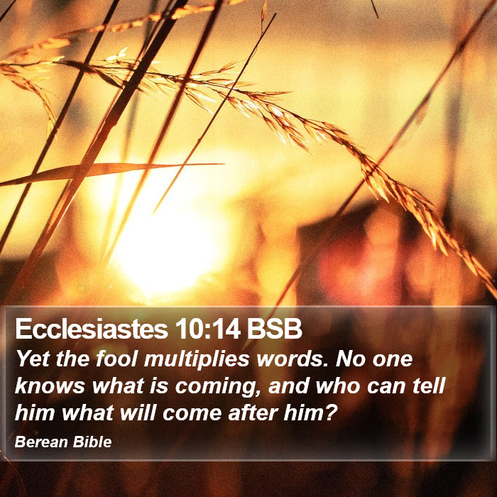 Ecclesiastes 10:14 BSB Bible Study