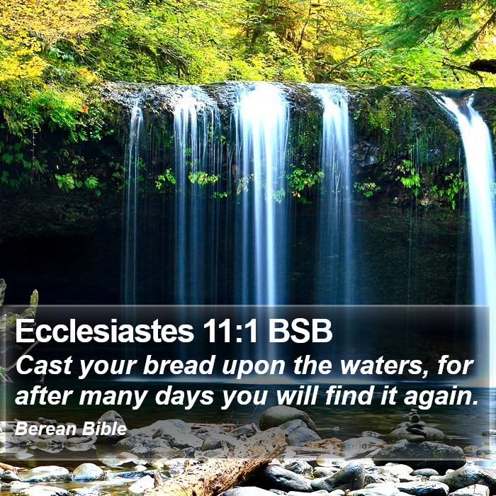 Ecclesiastes 11:1 BSB Bible Study