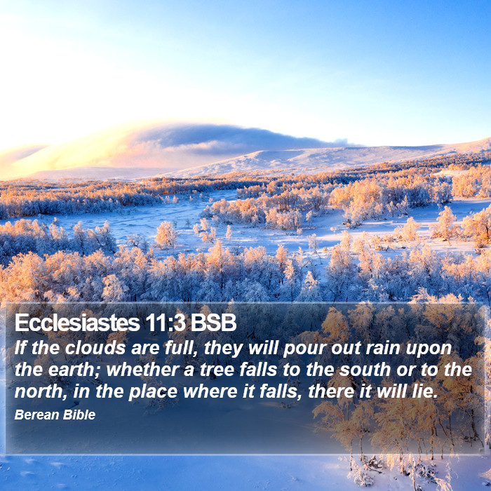 Ecclesiastes 11:3 BSB Bible Study