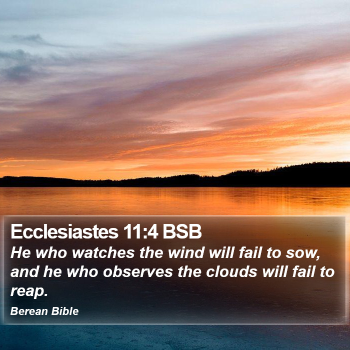 Ecclesiastes 11:4 BSB Bible Study