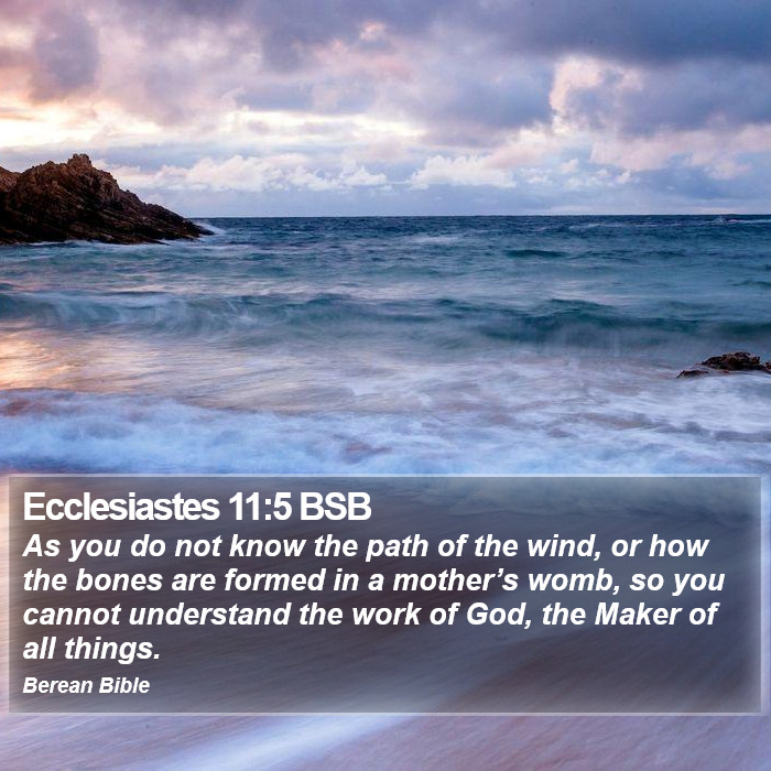 Ecclesiastes 11:5 BSB Bible Study