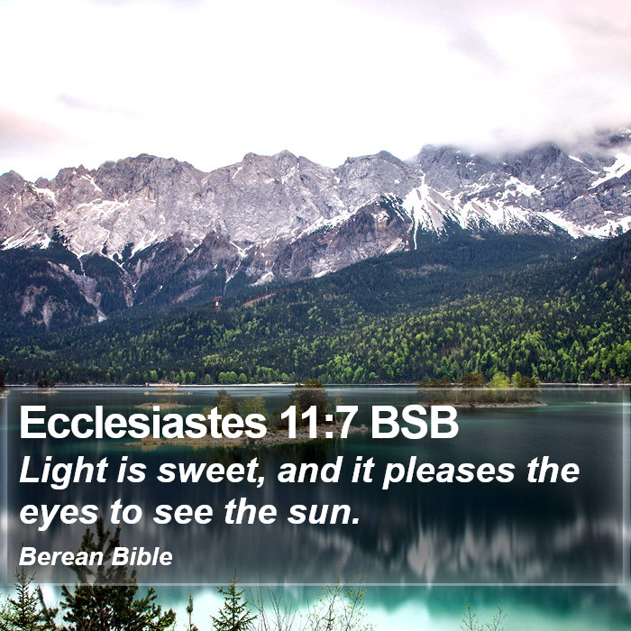 Ecclesiastes 11:7 BSB Bible Study