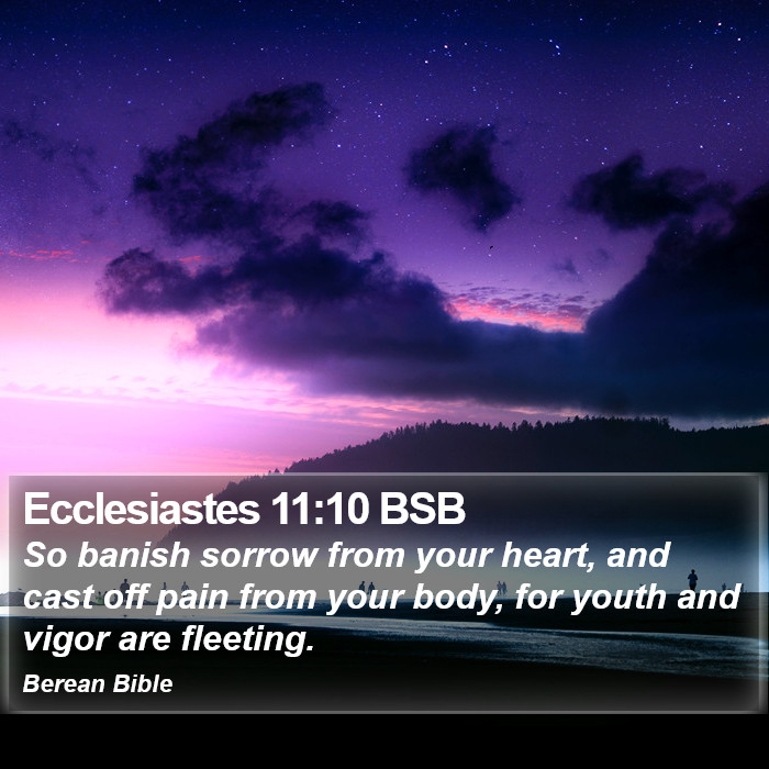 Ecclesiastes 11:10 BSB Bible Study