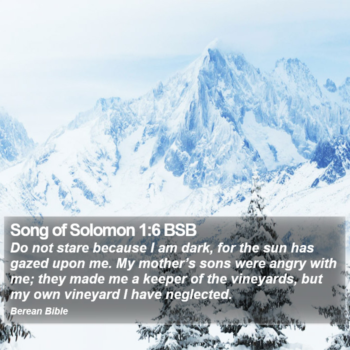 Song of Solomon 1:6 BSB Bible Study