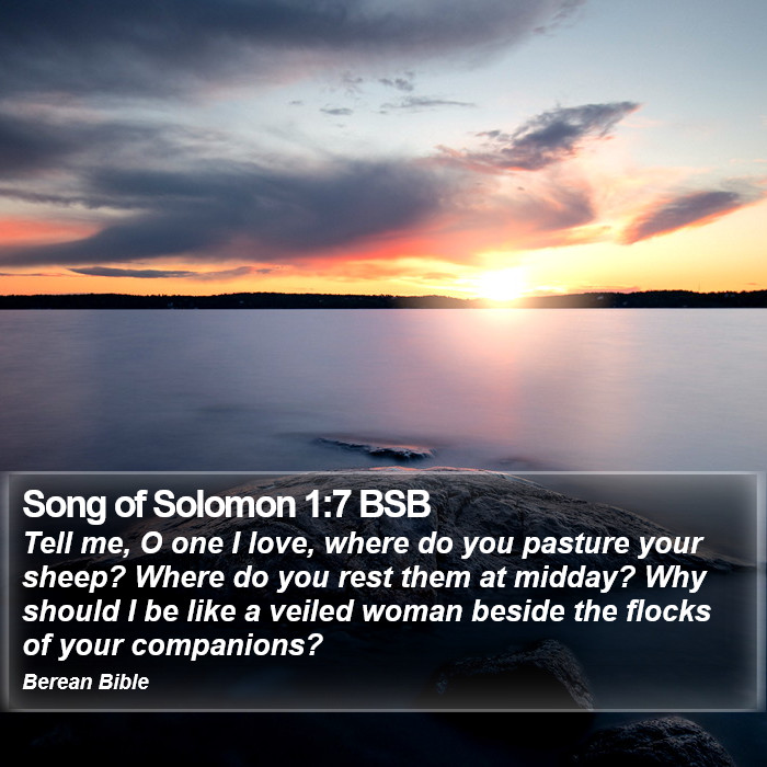 Song of Solomon 1:7 BSB Bible Study