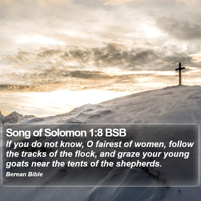 Song of Solomon 1:8 BSB Bible Study