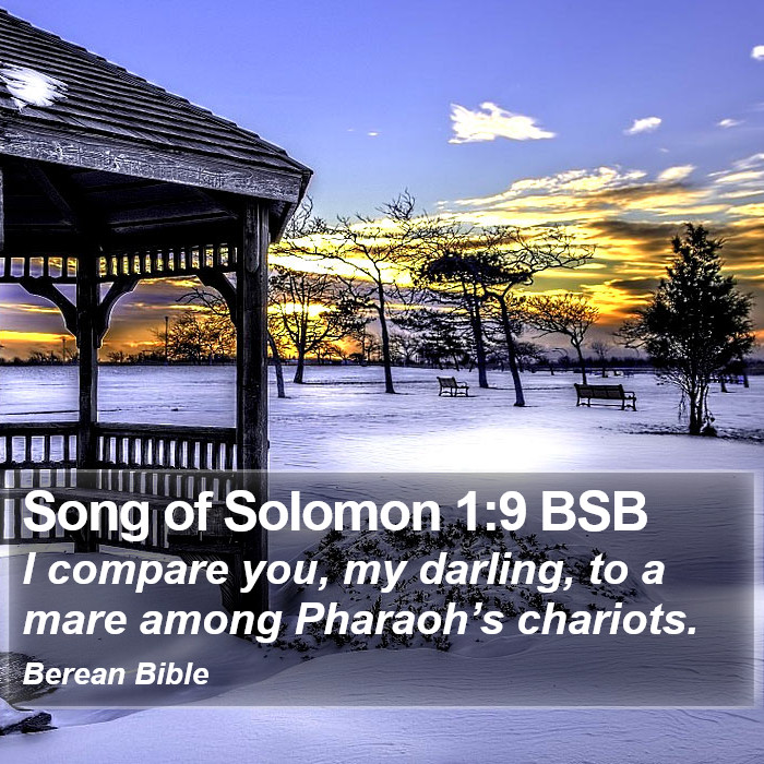 Song of Solomon 1:9 BSB Bible Study