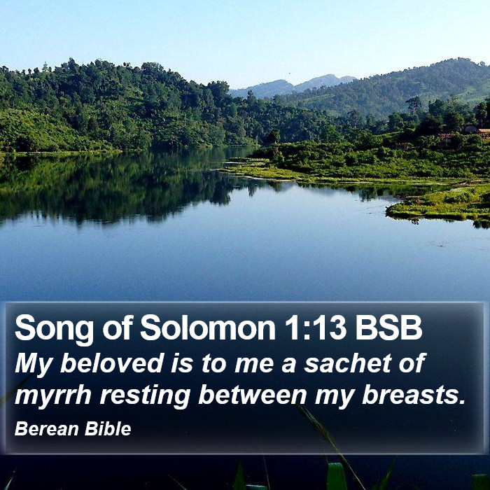 Song of Solomon 1:13 BSB Bible Study