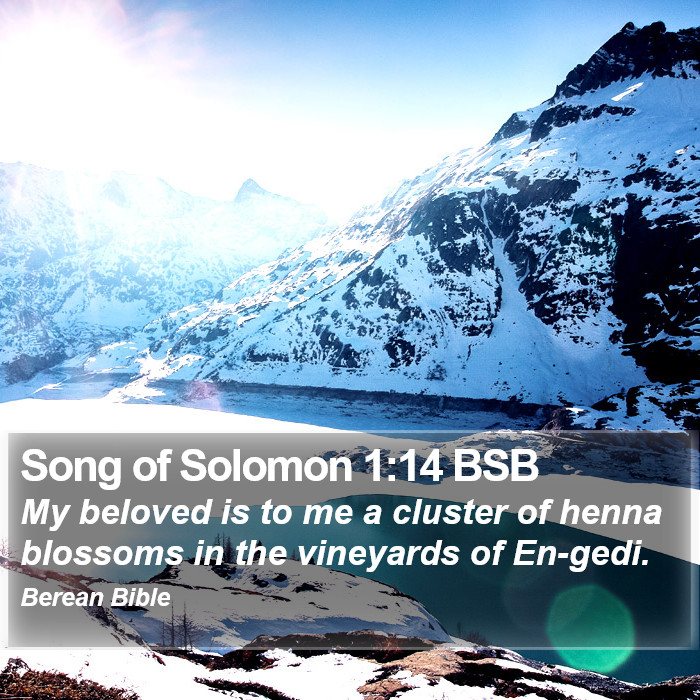 Song of Solomon 1:14 BSB Bible Study