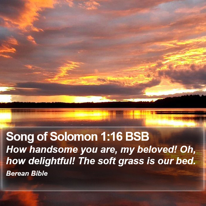 Song of Solomon 1:16 BSB Bible Study