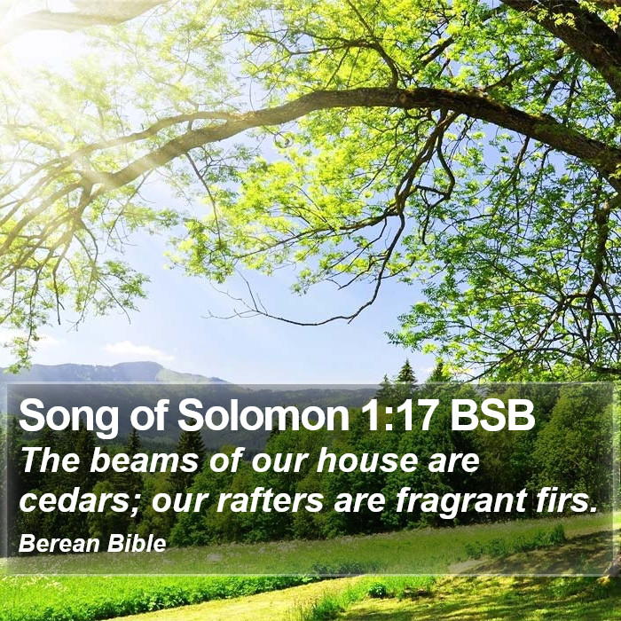 Song of Solomon 1:17 BSB Bible Study