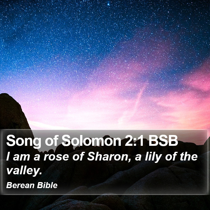 Song of Solomon 2:1 BSB Bible Study