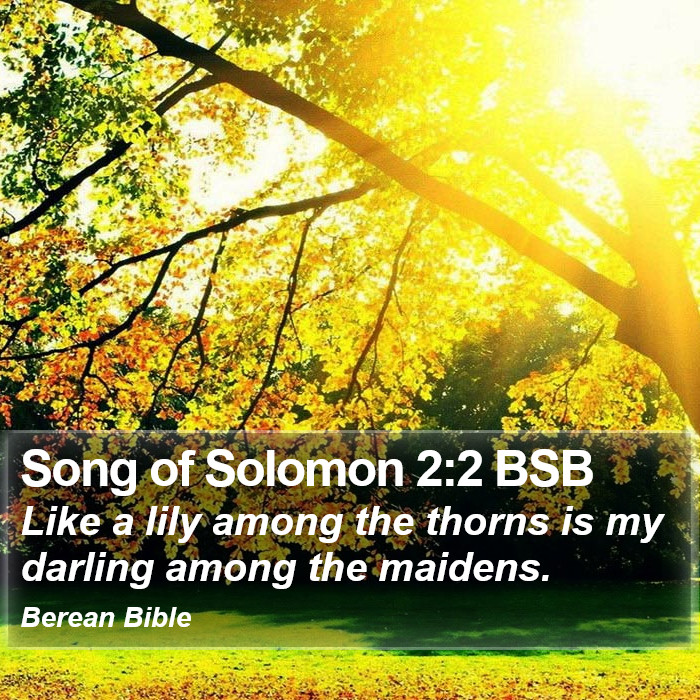 Song of Solomon 2:2 BSB Bible Study