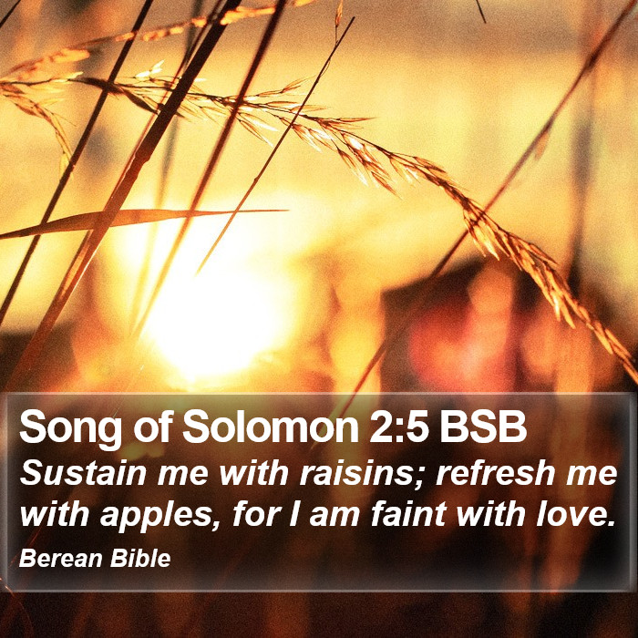 Song of Solomon 2:5 BSB Bible Study