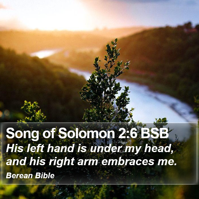 Song of Solomon 2:6 BSB Bible Study