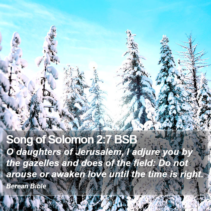 Song of Solomon 2:7 BSB Bible Study