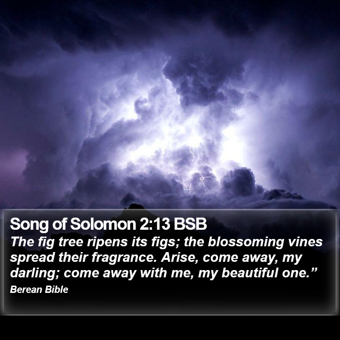 Song of Solomon 2:13 BSB Bible Study