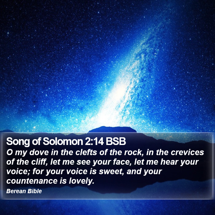 Song of Solomon 2:14 BSB Bible Study