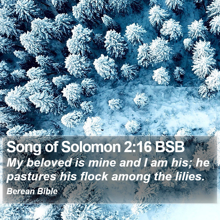 Song of Solomon 2:16 BSB Bible Study