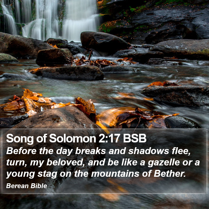 Song of Solomon 2:17 BSB Bible Study