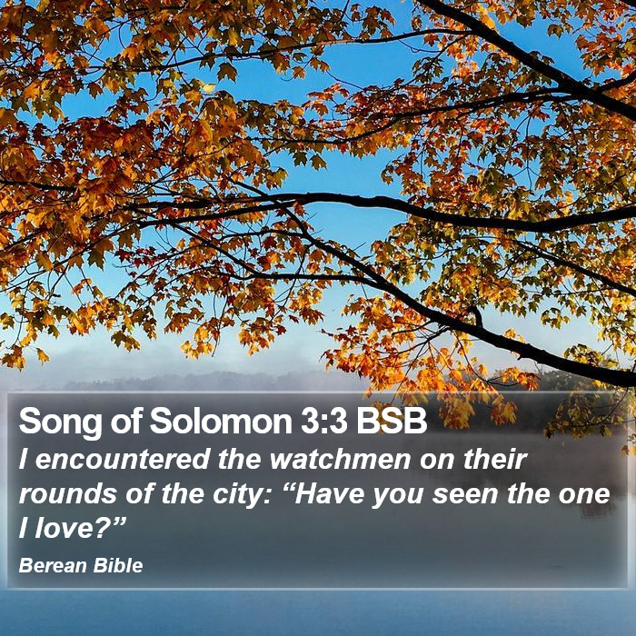 Song of Solomon 3:3 BSB Bible Study