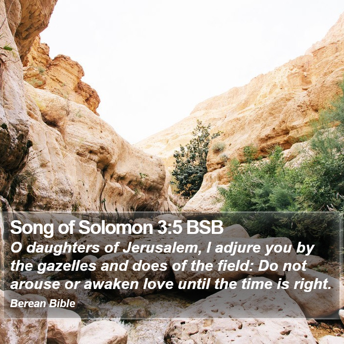 Song of Solomon 3:5 BSB Bible Study