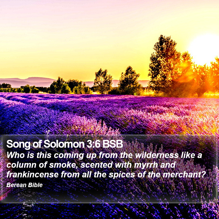 Song of Solomon 3:6 BSB Bible Study