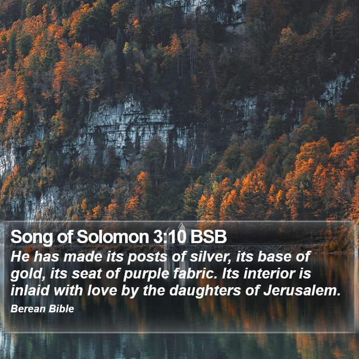 Song of Solomon 3:10 BSB Bible Study