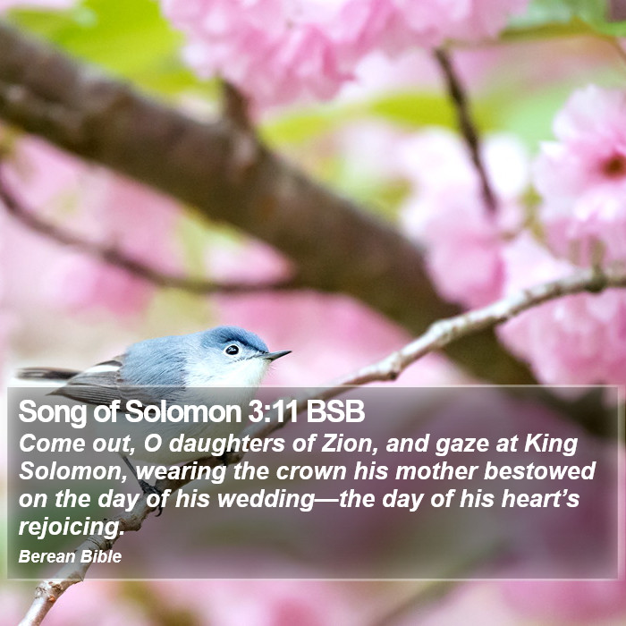 Song of Solomon 3:11 BSB Bible Study