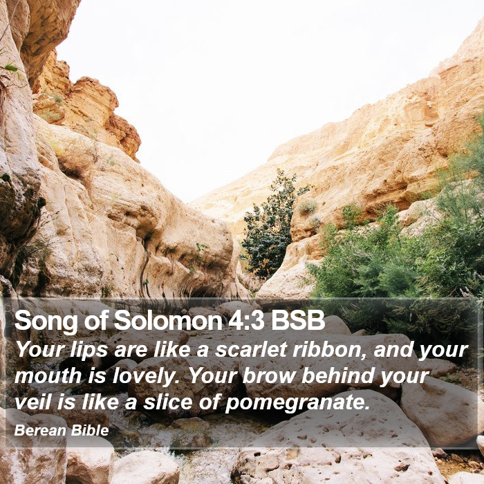 Song of Solomon 4:3 BSB Bible Study