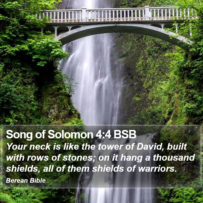 Song of Solomon 4:4 BSB Bible Study