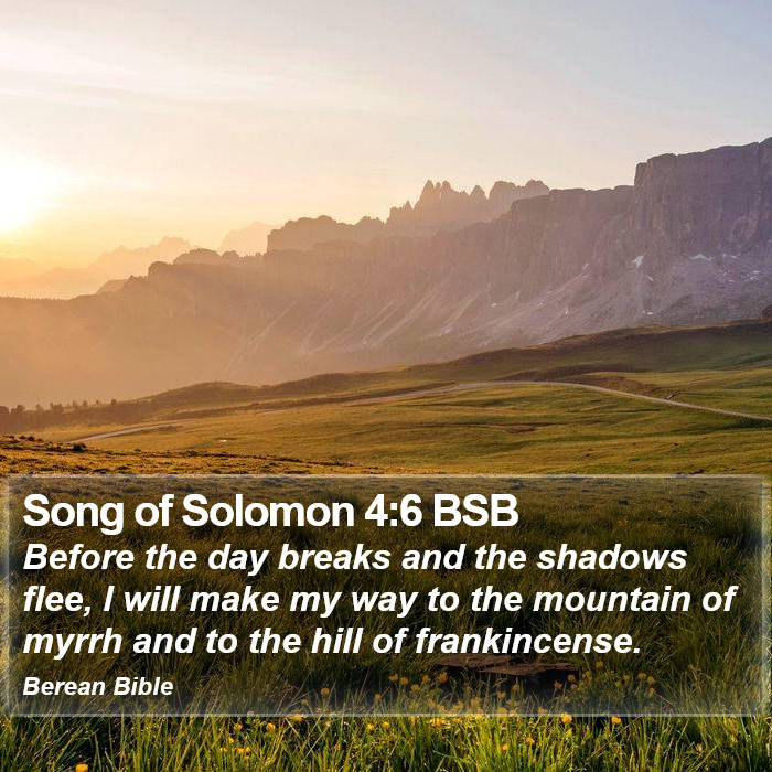 Song of Solomon 4:6 BSB Bible Study