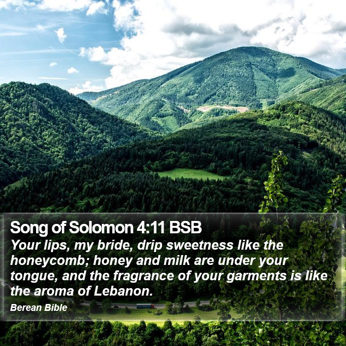 Song of Solomon 4:11 BSB Bible Study