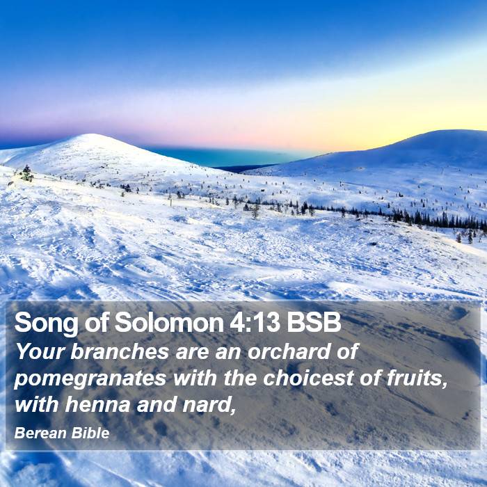 Song of Solomon 4:13 BSB Bible Study