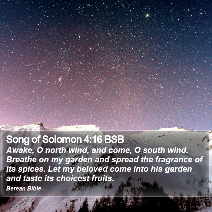 Song of Solomon 4:16 BSB Bible Study