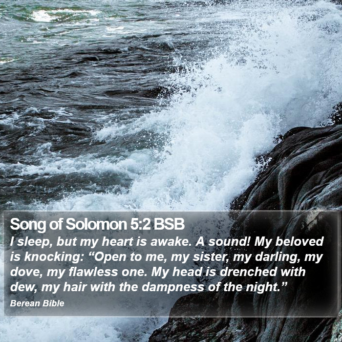 Song of Solomon 5:2 BSB Bible Study