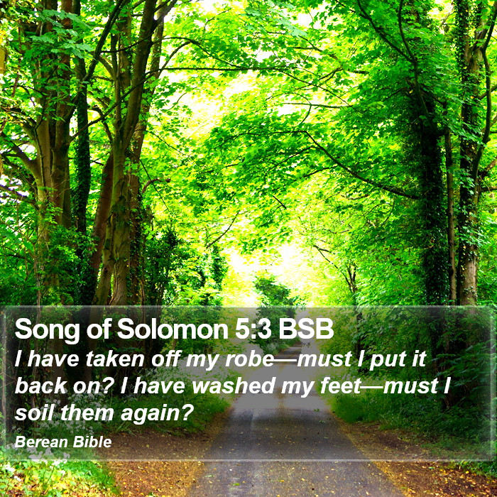 Song of Solomon 5:3 BSB Bible Study