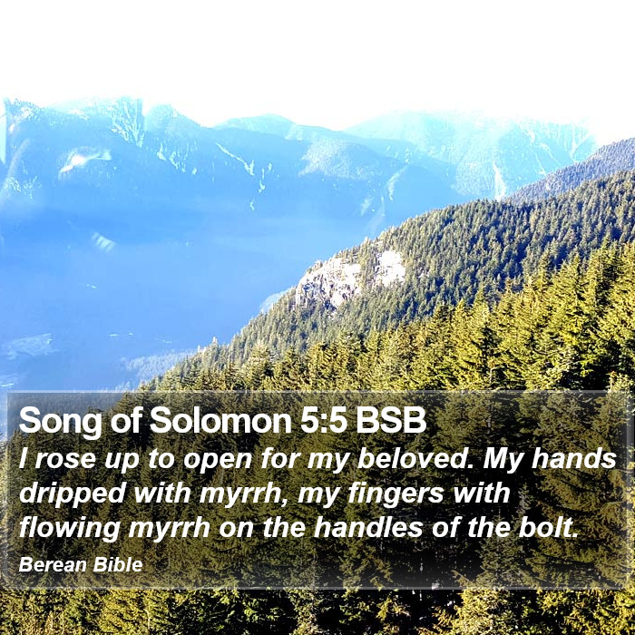 Song of Solomon 5:5 BSB Bible Study